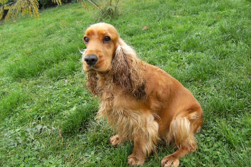 Jenny coleres de zeus